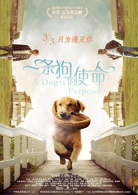 av色资源