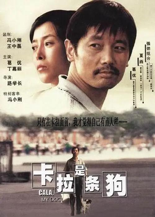 一区二区在线不卡