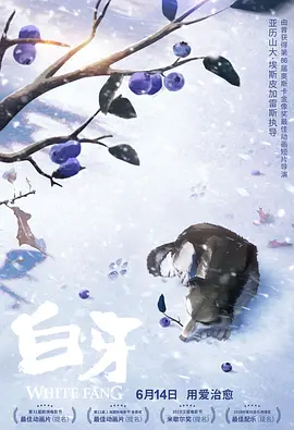 久久久久久久久久久精品