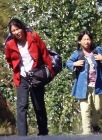 高清一区二区三区视频