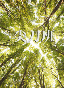 99国产精品久久久久久久成人热