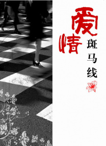亚洲精品国产综合久久一线